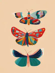 Illustration by Branka Kodžoman: colorful butterflies on a gentle background
