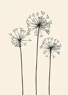 Illustration by Branka Kodžoman: soft dandelion in a neutral tone