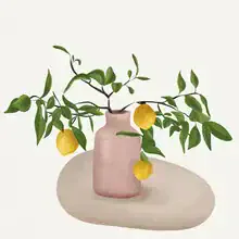 Illustration by Branka Kodžoman: Delicate arrangement of lemon branches