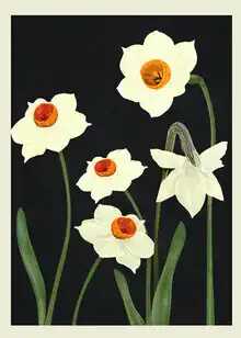 Illustration by Branka Kodžoman: delicate summer flowers in soft colors