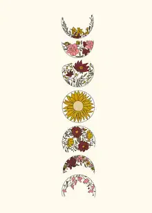 Illustration by Branka Kodžoman: floral phases of the moon with soft colors and details