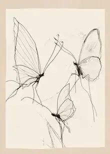 Schmetterlingsillustration von Branka Kodžoman: minimalistisches Design in sanften Linien.
