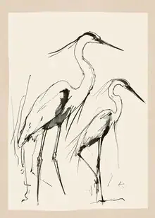 Illustration von Branka Kodžoman: zwei Reiher im ruhigen Wasser