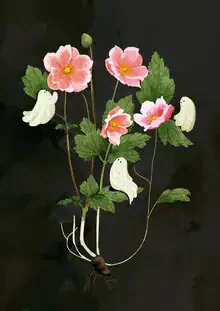 Playful illustration of a ghost emerging from a pink anemone flower.