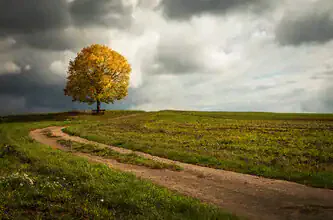 Photo art by Heiko Gerlicher: autumn tree on a peaceful path