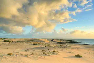 Dünenlandschaft bei Morgendämmerung auf Fuerteventura mit sanften Sandhügeln.
