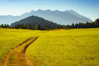 Photo art by Martin Wasilewski: Path to the Soiern Group with captivating mountain scenery.
