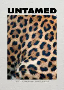 Wall art by Daniel Leo: a funny leopard in pop art style