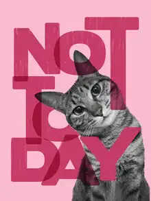 Wall art featuring a humorous tabby cat design with typographic quote.