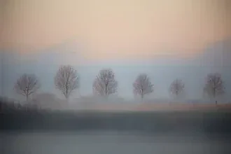 Fotokunst von Oliver Buchmann: mystische Landschaft in Nebel und Licht