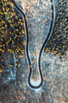 Snow capped tress and curvy road from above - Fineart photography by Lina Jakobi