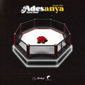 Adesanya explore African Music,music professional,subscriptions
