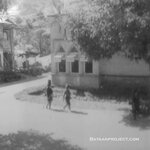 Another picture of Bontac.
Courtesy of the Porwoll Family KP33