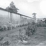 Bilibid Graves2