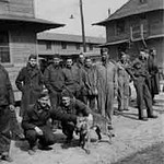 Members of HQ Company with their dog, First Sergeant. Hullihan10