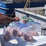 We Clean & Wrap Your Fish For You
