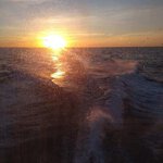 Celtic Stoirm Sportfishing in Belmar, NJ