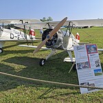 Bücker Jungmeister (Modell und Original)