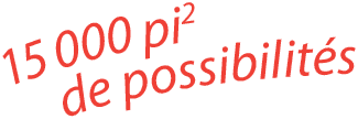 Terrains à vendre : 15 000 pi2 de possibilités