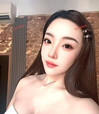 TTVIP New Arrive Girl Cindy 【2507】 2025-7-4