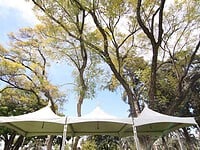 Non-Profit Event Planning