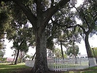 Non-Profit Event Planning
