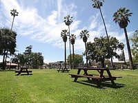 Non-Profit Event Planning