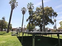 Non-Profit Event Planning