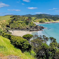 The stunning, clear waters of Elliot Bay. Elevated view of the turquoise water and white sand beach at Elliot Bay, New Zealand, surrounded by rolling green hills.