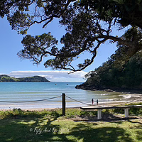 Finding shade and a view at Helena Bay. A view of Helena Bay beach framed by dark tree branches, showing a calm shoreline, two people, and a wooden bench on a grassy area.