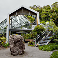 The striking glass-roofed visitor center at Pukeiti Gardens, surrounded by native forest. The modern glass and steel Rainforest Center building at Pukeiti Gardens in New Plymouth, featuring a large central boulder, outdoor stairs, and lush tropical plants.