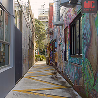 Discovering vibrant street art and hidden coffee spots in the laneways of New Plymouth. A narrow urban alleyway in New Plymouth featuring a yellow zig-zag pattern on the concrete ground, vibrant street art murals on the walls, and a small black sign that reads "WC COFFEE."