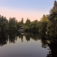Evening stillness at Lake Pukeiti, where the rainforest meets the water's edge. A wide landscape view of Lake Pukeiti in New Plymouth at dusk, featuring a distant white and red gazebo reflecting in the still water, surrounded by dense native forest and tree ferns under a pale pink sky.
