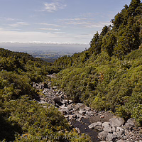 Looking down the valley toward the Taranaki plains from the Wilkies Pools track. A wide landscape view from the Wilkies Pools track in New Plymouth, featuring a rocky stream bed winding through a deep green valley with the distant Taranaki plains visible under a clear sky.