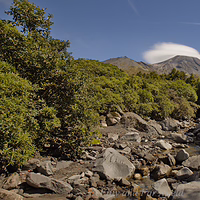 A rare "mountain hat"—a lenticular cloud resting on the summit of Mount Taranaki. A rocky stream bed in the foreground leading toward a distant Mount Taranaki, which is capped by a unique, smooth white lenticular cloud under a clear blue sky on the Wilkies Pools track.