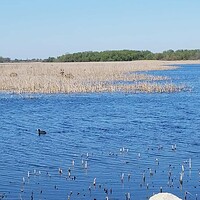 Ventura 3 Ventura Iowa