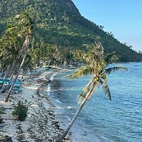 Relaxing tropical beach scene with swaying palm trees and calm ocean waves in the Philippines. Beautiful beach with palm trees and clear blue water in the Philippines.