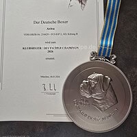 Klubsieger