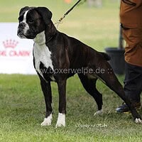 Lollo-Foto-Stand
