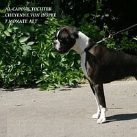 alcaponedaughter