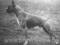 Lustig vom Dom 1933