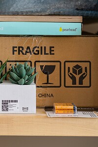 Bright green succulents in white packaging with shipping boxes behind.