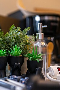Green succulents in black pots on desk with office tools, creating a calming workspace environment.