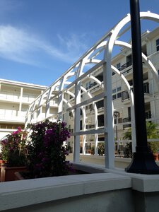 Arbor