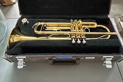 Bid Now! Bid Now in the New Year's Day 2026 Auction