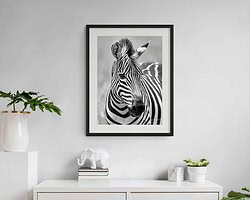 Untamed Geometry