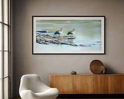 River Companions