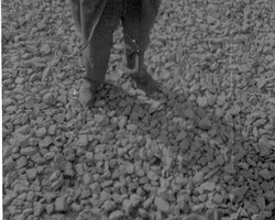 Roger Heilig
Courtesy of the George Smith family GSmith11