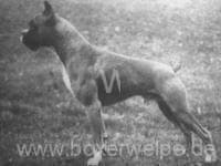 lustig_von_dom_1933