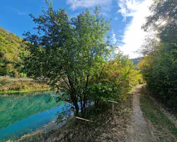 Krušnica rijeka okružena zelenilom i šumom, prirodni pejzaž u jesen.